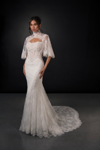 Martina Liana #ML2010 #0 default (IV-IVR) Ivory Lace and Tulle over Ivory Gown thumbnail
