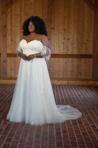 Essense of Australia #D3529 #7 (IV-BC) Ivory Lace Tulle and Regal Organza over Biscotti Gown thumbnail