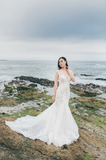 Essense of Australia #D3393CQ #0 default (IVIV-PL) IVR Lace & Tulle ov IVR Gown w PLN Front Bod Lining & Plunge thumbnail